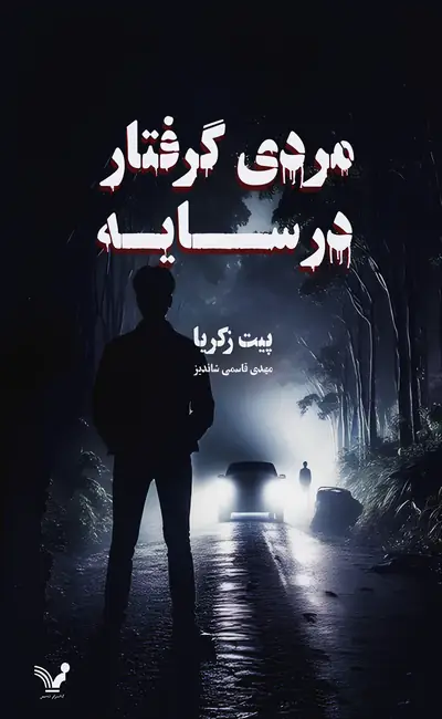 مردی گرفتار در سایه (مجموعه روکر لیندستروم 2)