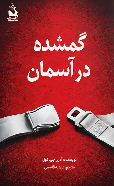 گمشده در آسمان